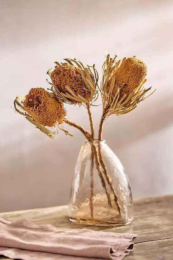 Dried Banksia Bunch - Image 0