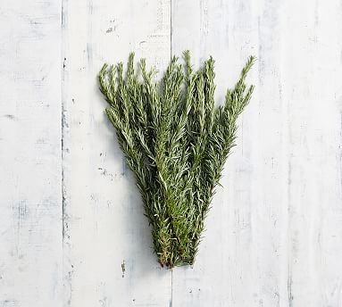 Live Rosemary, 5 Bunches - Image 0