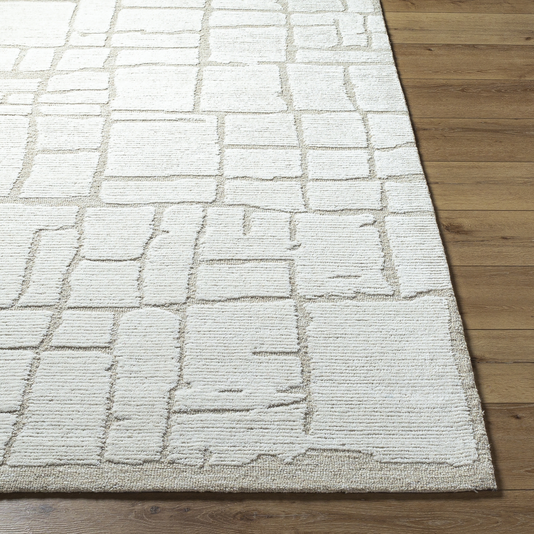 Bianca Beige Indoor 8' x 10' Handmade Rug - Image 1