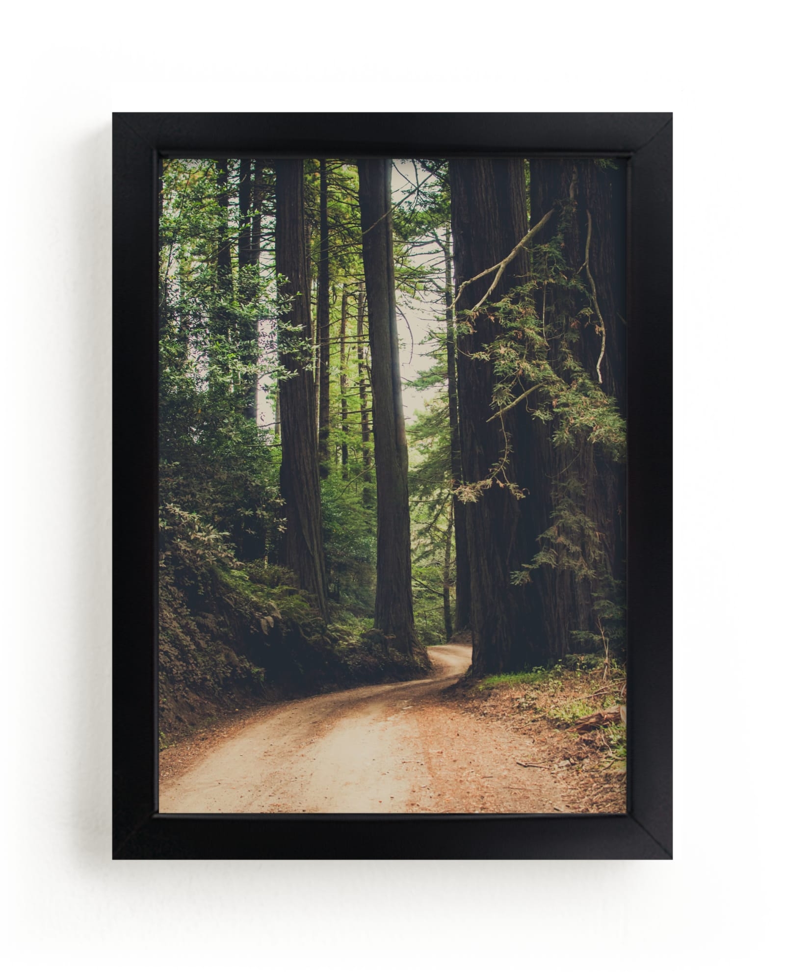 Walk Into The Woods Limited Edition Fine Art Print 1 - Image 0