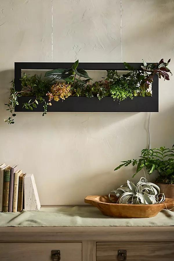 Growframe Grow Light + Planter - Image 0