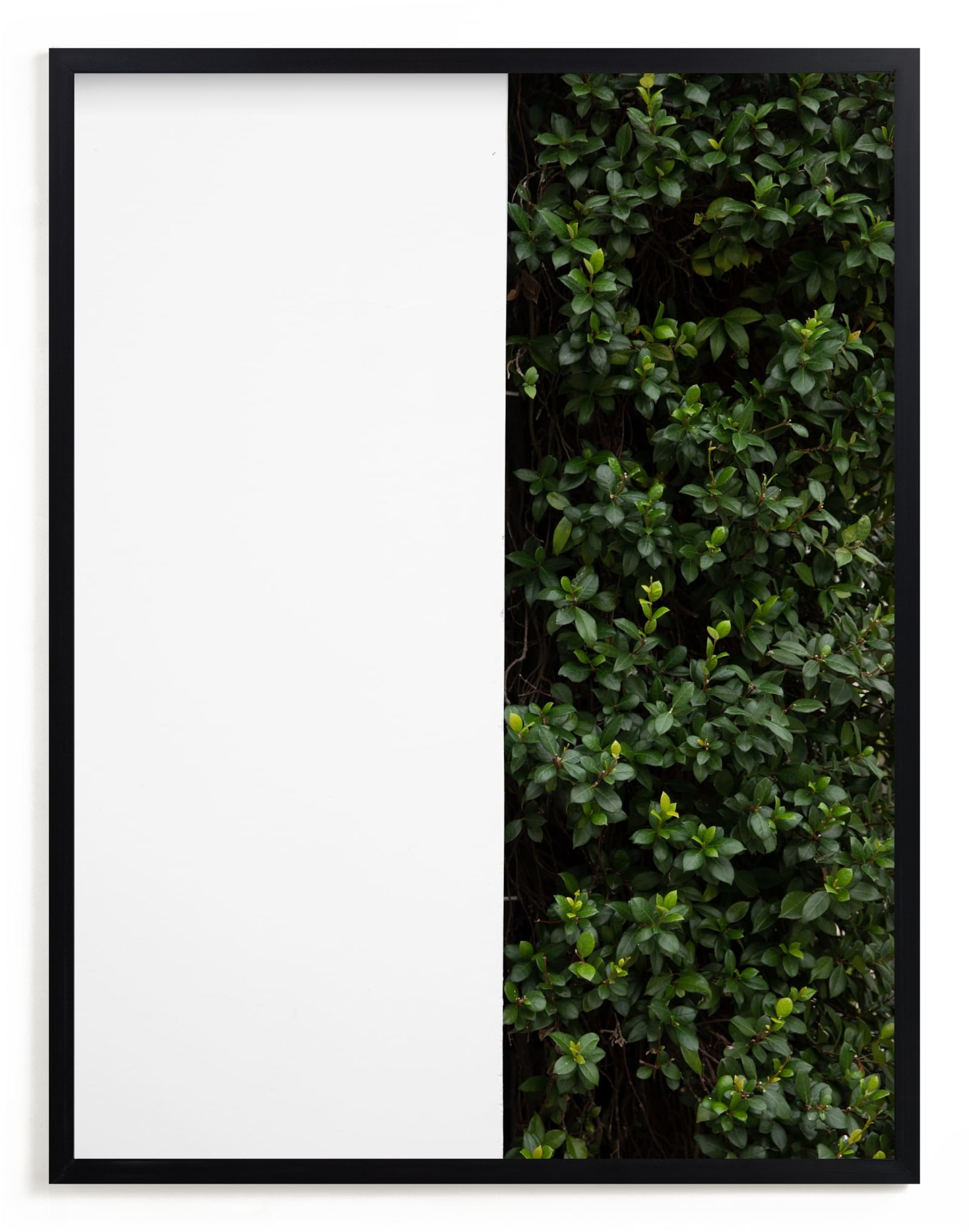 Verdant Garden III Limited Edition Fine Art Print 2 - Image 0