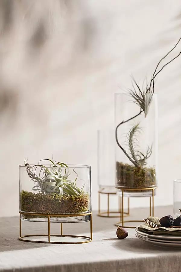 Glass + Gold Stand Terrarium - Image 0