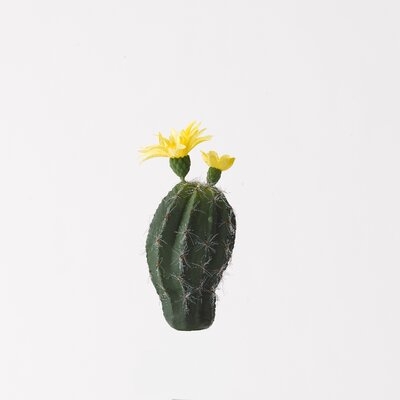 Mini Oval Cactus with Bloom Plant - Image 0