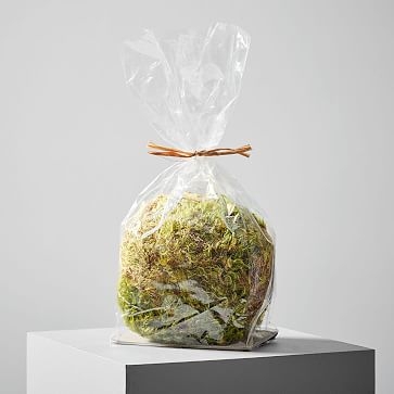 Dried Orb Moss, Bright - Image 3