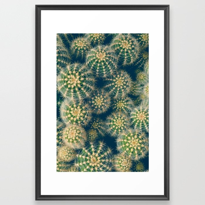 Cactus Framed Art Print by Olivia Joy St Claire X  Modern Photograp - Scoop Black - Large 24" x 36"-26x38 - Image 0