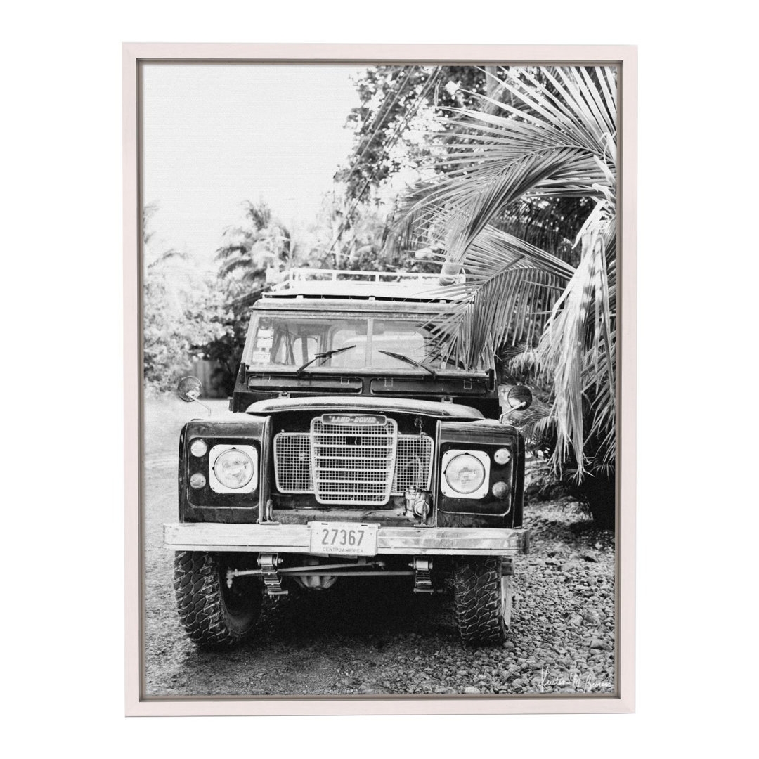 Samba to the Sea Palm Trees Rover By Kristen M. Brown - Image 0