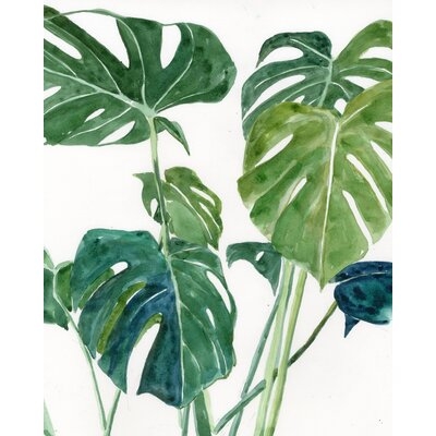 Monstera Plants - Wrapped Canvas Painting Print - Image 0