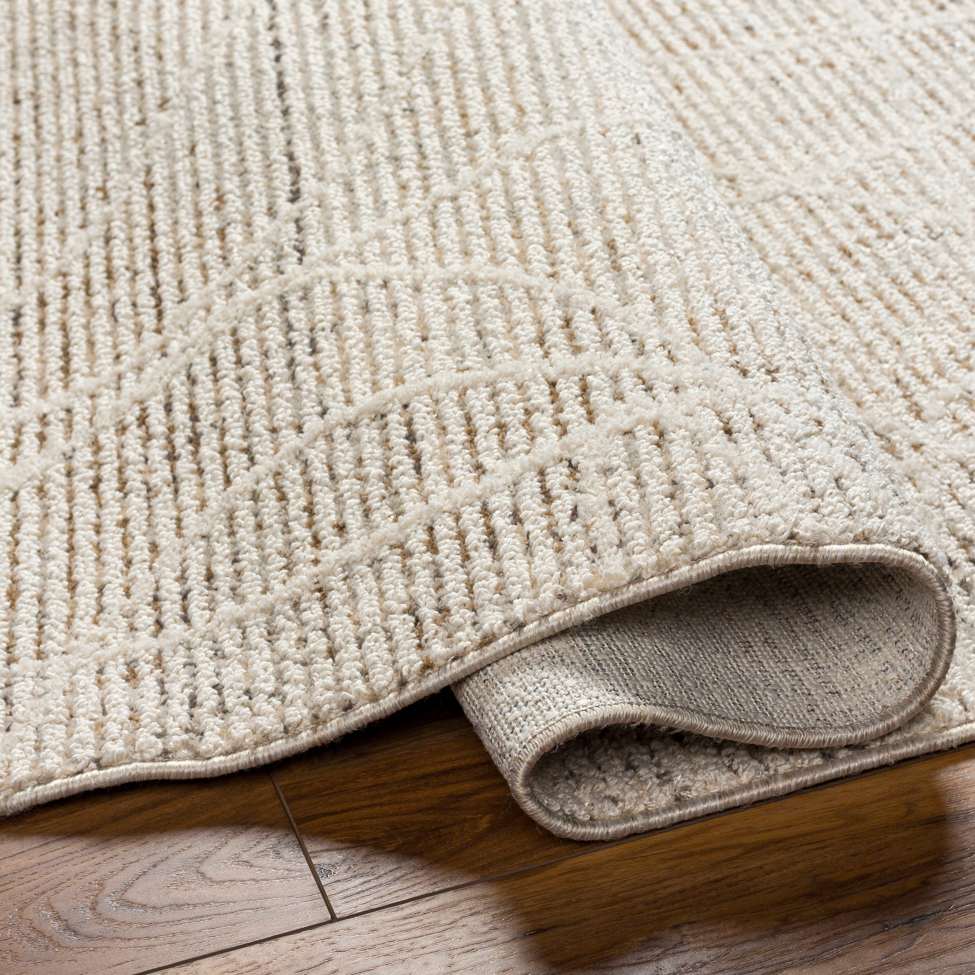 Rudy Beige Indoor 9'2" x 12' Machine Woven Rug - Image 4