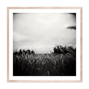Grass Holga Film By Ashley Garmon, Framed Paper, Giclee Print, Natural, 24x24 - Image 0