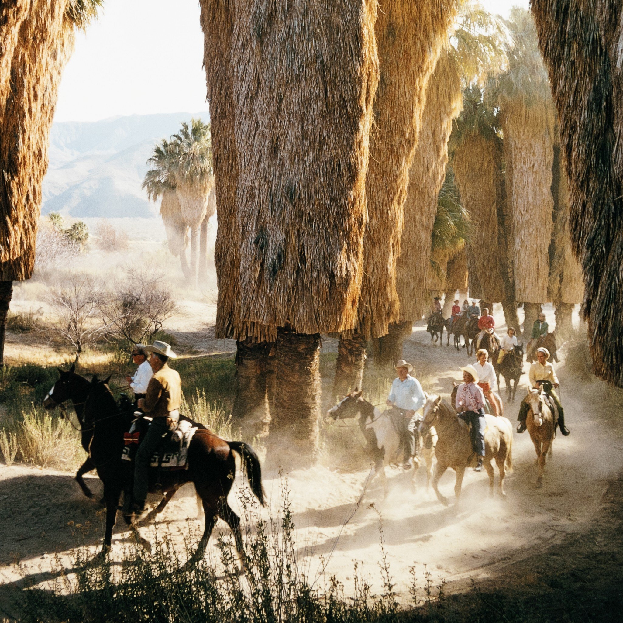 Palm Springs Riders by Slim Aarons - Vertical Grain White Oak Floater - Image 3