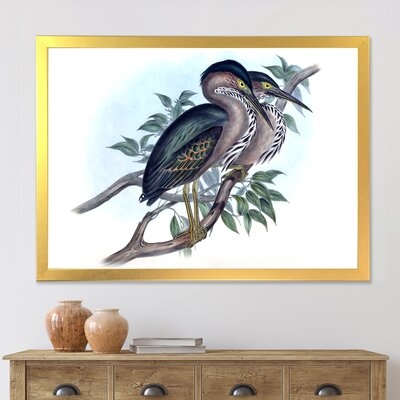 Vintage Australian Birds VII - Traditional Canvas Wall Art Print - Image 0