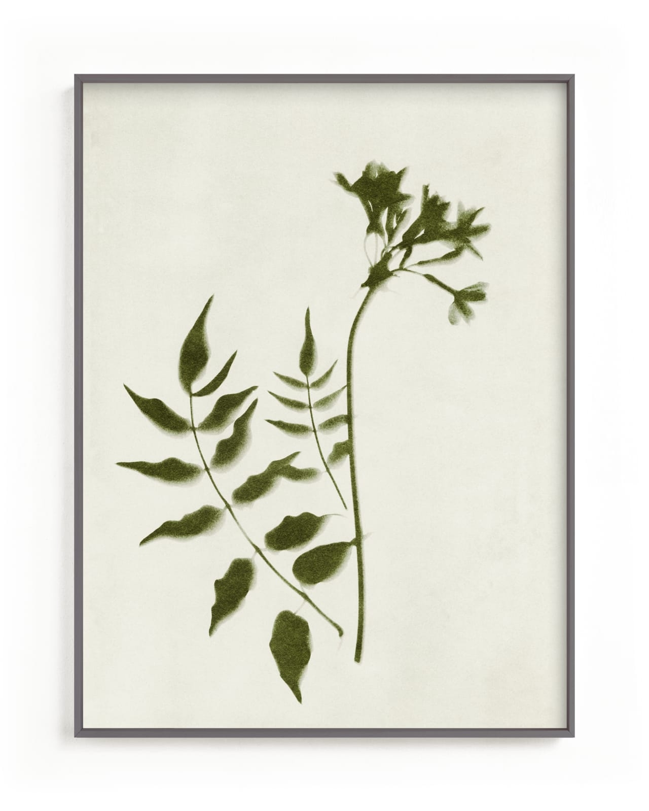 Foraged II Limited Edition Fine Art Print 2 - Image 0