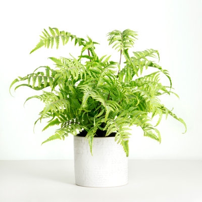 18'' Faux Fern Plant in Ceramic Planter - Image 0