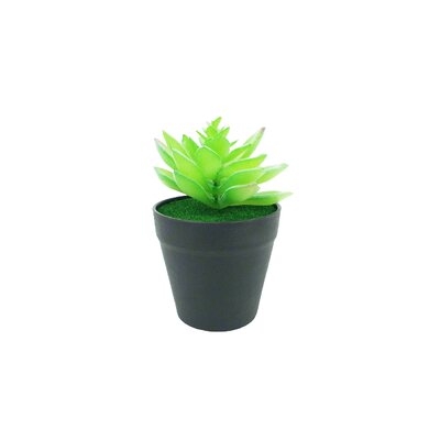 Primrue® 3.5 X 3.5 X 5.5" Diameter Black Planter With Succulent Lotus Last Forever Artificial Green Turf Moss 884EF90DF6D542C691B73B39EAEE4699 - Image 0