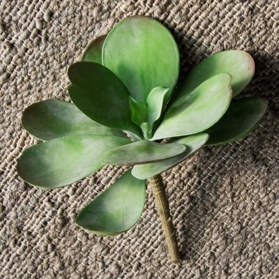 2 - Piece Artificial Succulent Plant Set - Image 0