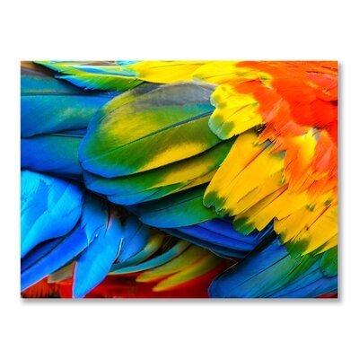 Animal Art - "Rainbow Feathers One" Animal Art Print On Acrylic - Image 0