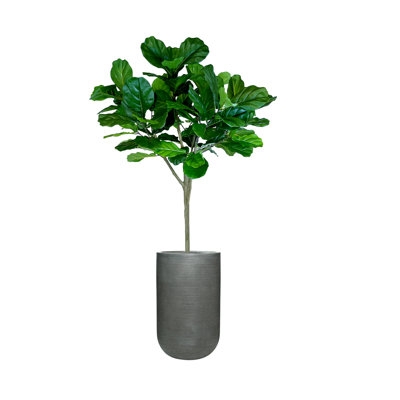 7' Fiddle Leaf Tree Arranged In Round Planter - Image 0
