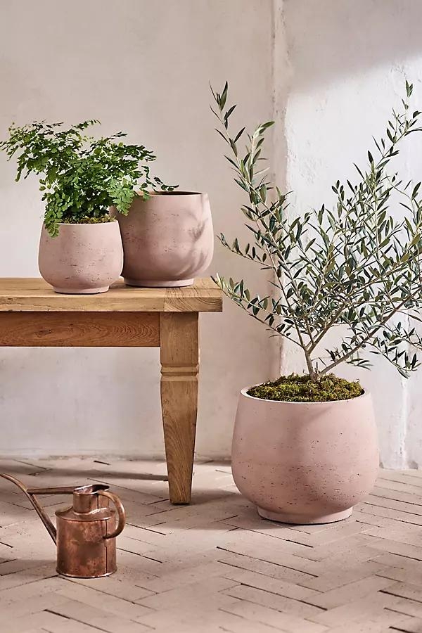 Footed Round Cement Planter - Image 0