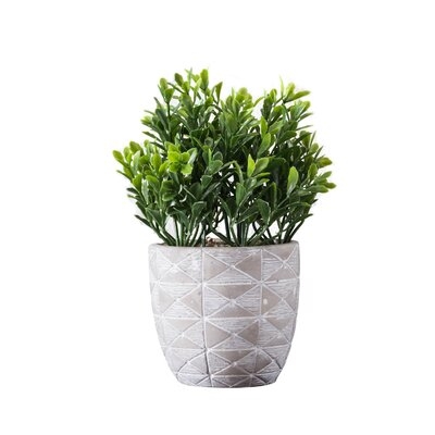 Faux Boxwood Plant in Pot, 5" - Image 0