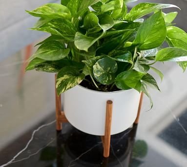 Modern Ceramic Planters with Wooden Stand, White - Medium - Image 3