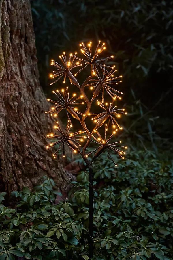 Solar LED Starburst Light Branch - Image 0