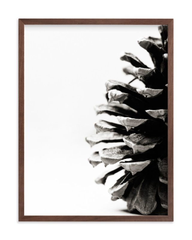 Pine Cone Limited Edition Fine Art Print 1 - Image 0