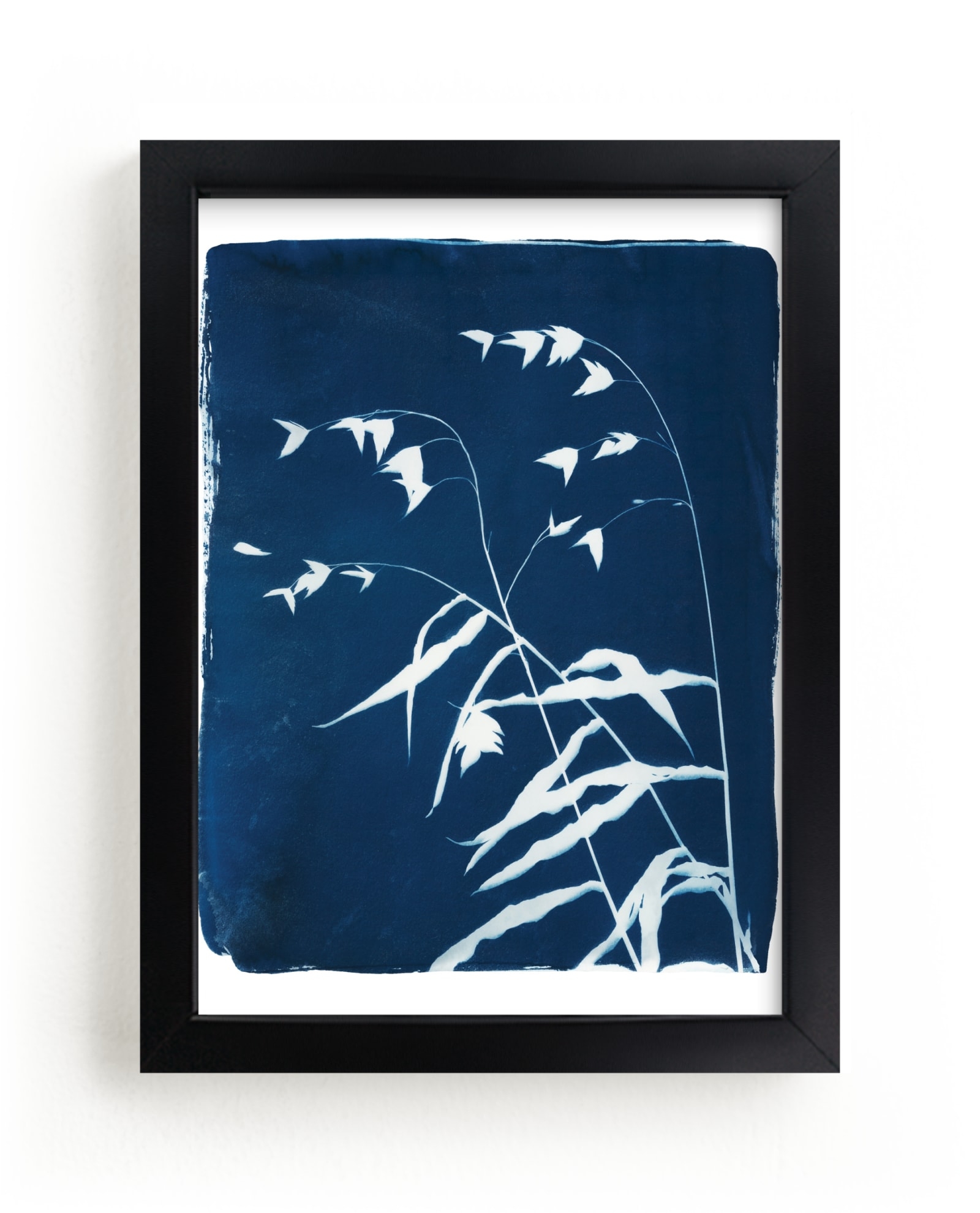Sea Oats Cyanotype Limited Edition Fine Art Print 2 - Image 0