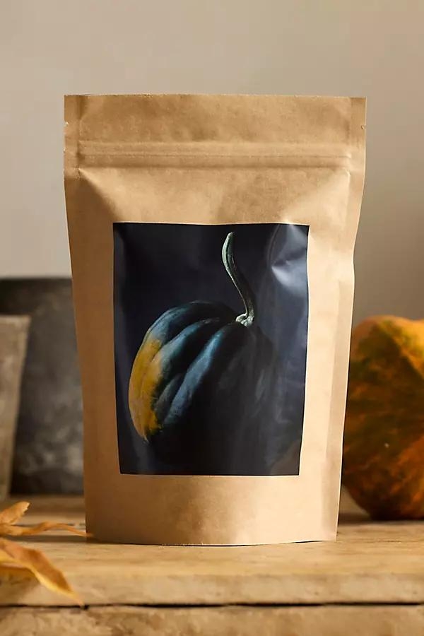 Squash Seed Starts Kit - Image 0