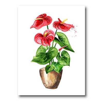 Anthurium Tailflower Or Flamingo Flower In The Pot - Traditional Canvas Wall Art Print PT35476 - Image 0