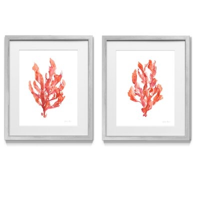 Coral Kelp I - 2 Piece Picture Frame Graphic Art Print Set on Paper - Image 0