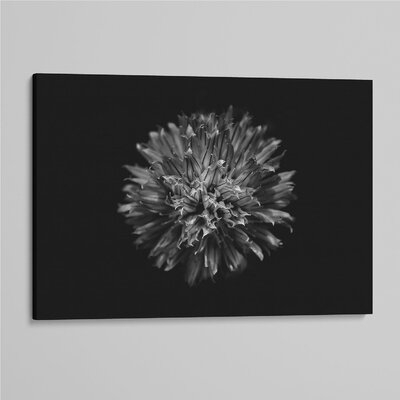 'Backyard Flowers In Black And White 53' - Photographic Print On Wrapped Canvas - Image 0