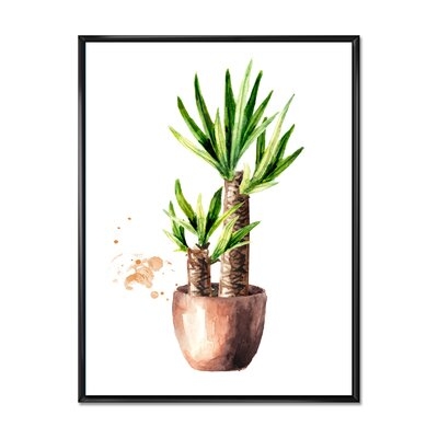 Yucca Tree In The Ceramic Flower Pot - Traditional Canvas Wall Art Print FL35486 - Image 0