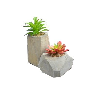 2 Artificial Succulent Plant in Planter Set - Image 0