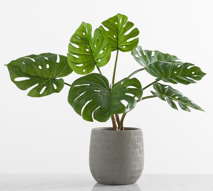 Faux Potted Houseplant,Small,Monstera - Image 1