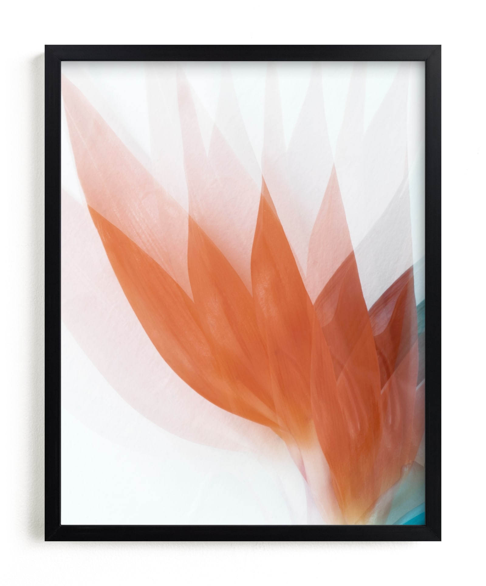 California Darling Limited Edition Fine Art Print 2 - Image 0