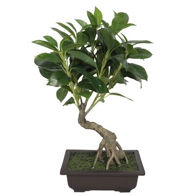 15" Artificial Bonsai Tree in Planter - Image 0