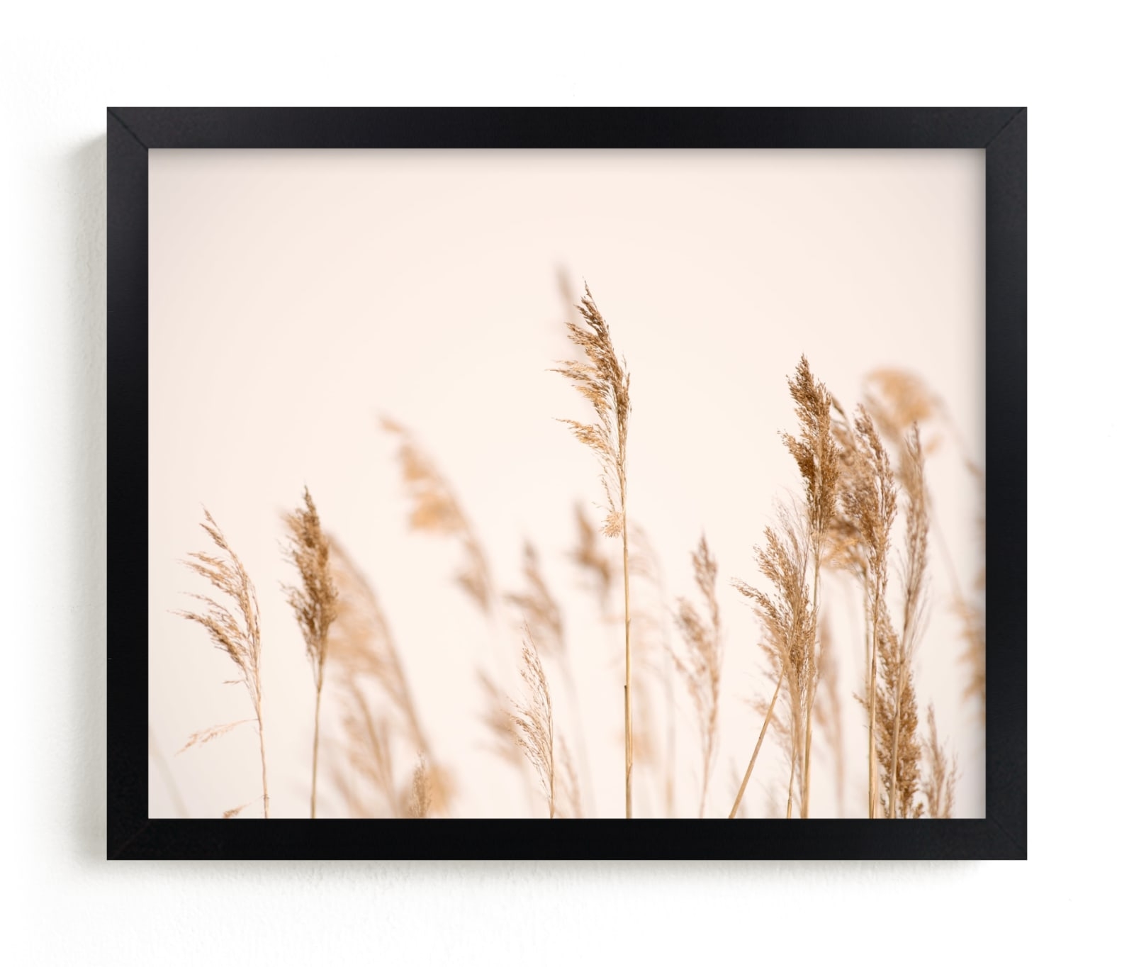 Summer Weeds Open Edition Fine Art Print - Image 0