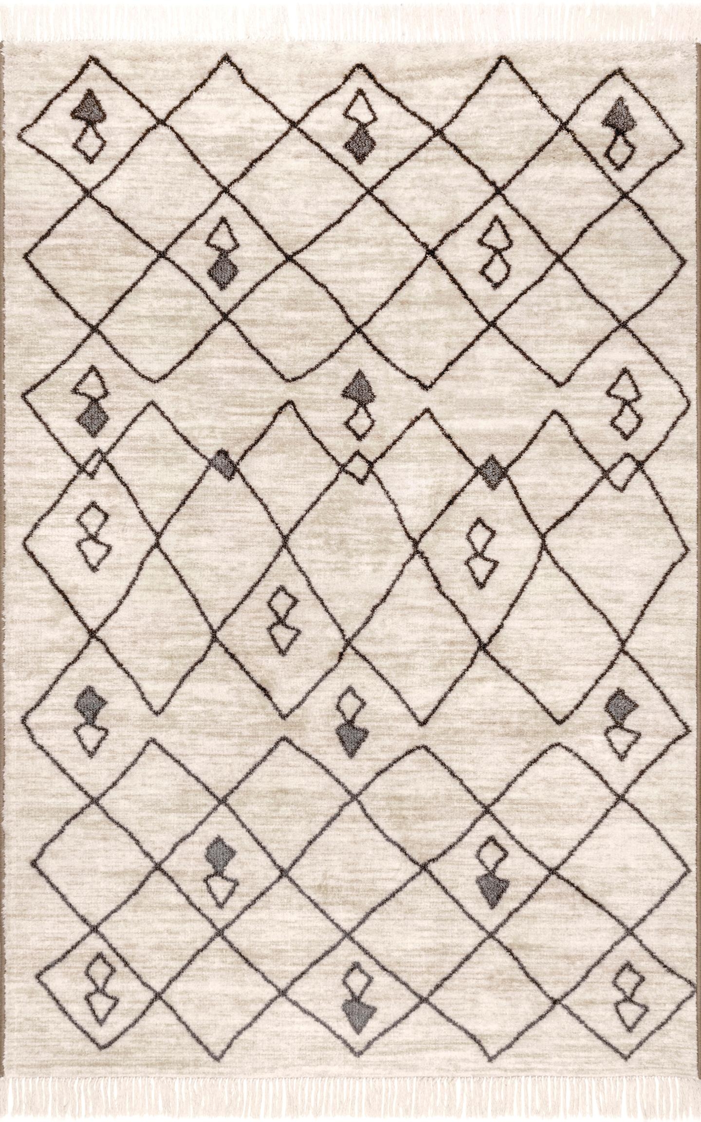 Dani Moroccan Trellis Area Rug - Image 1