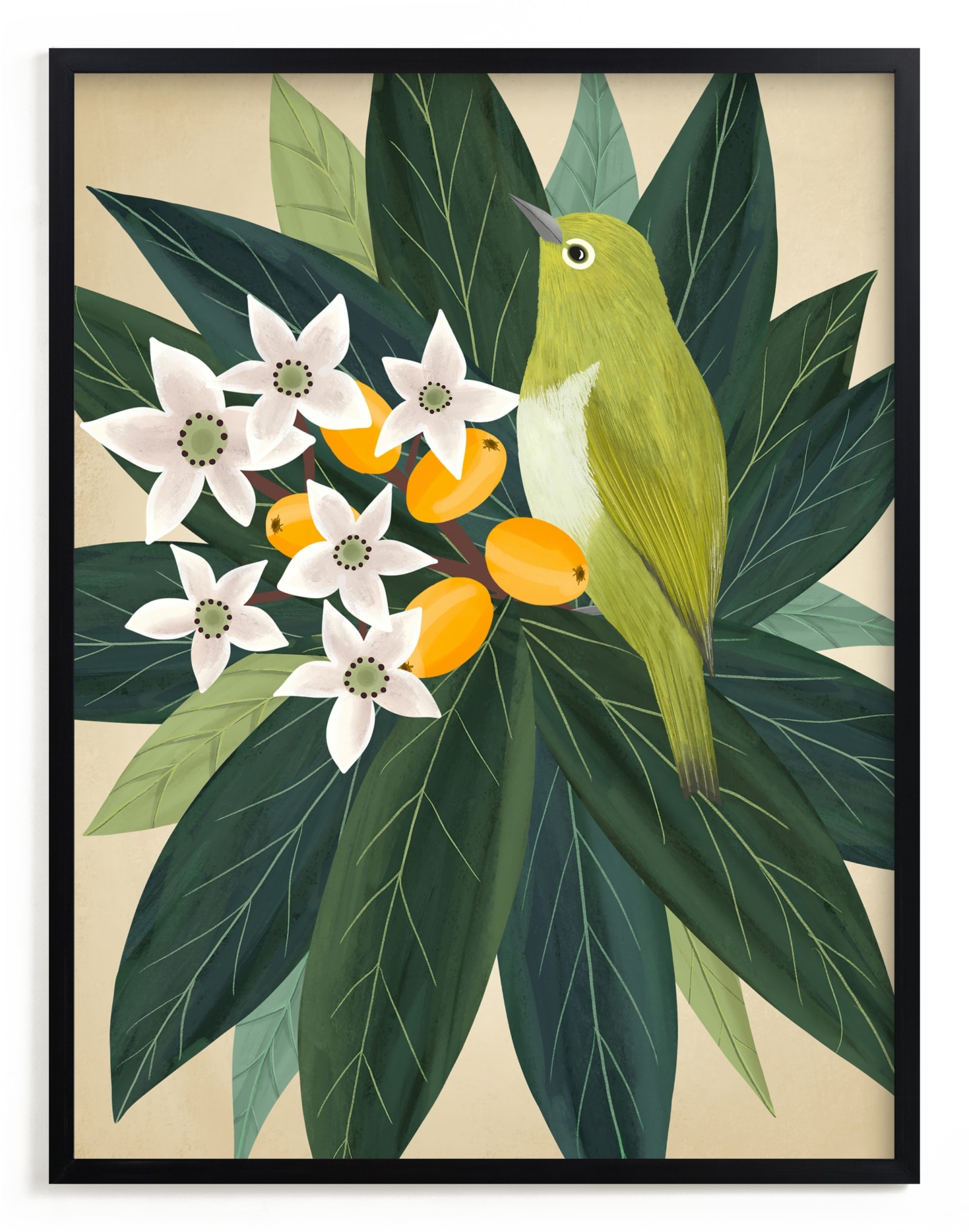 Loquat Limited Edition Fine Art Print 2 - Image 0