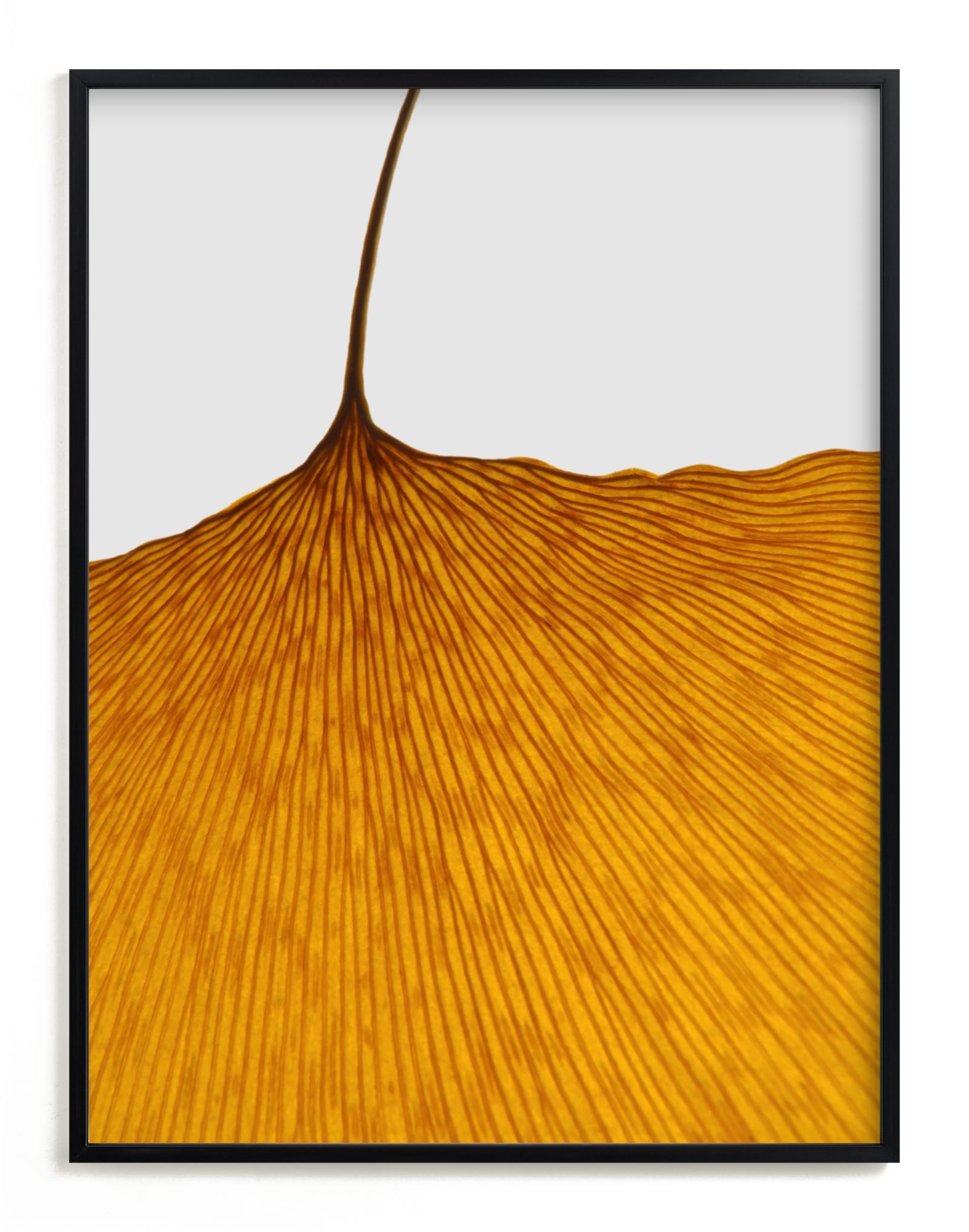 Calm Contortion Limited Edition Fine Art Print 2 - Image 0