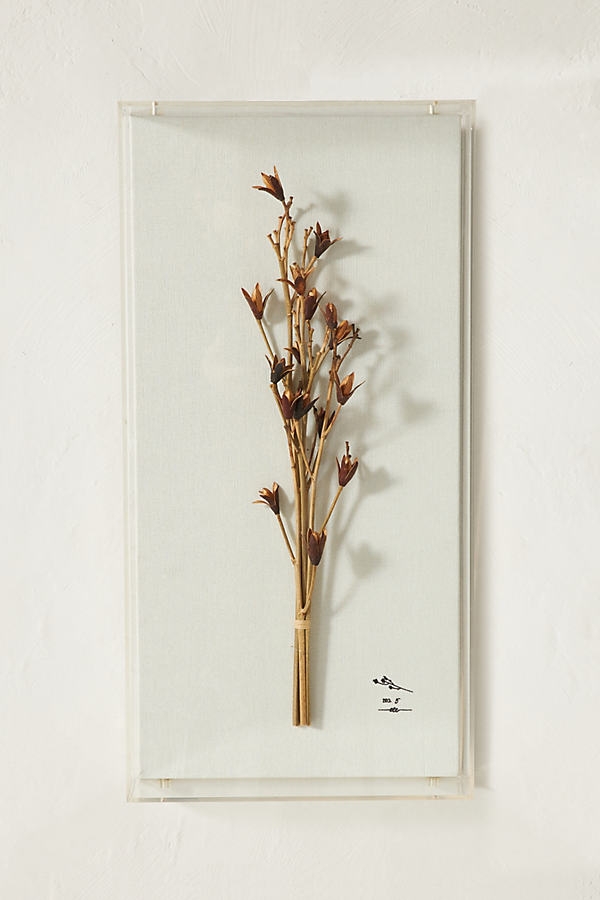 Dried Botanical Wall Art By Anthropologie in Purple Size S - Image 0