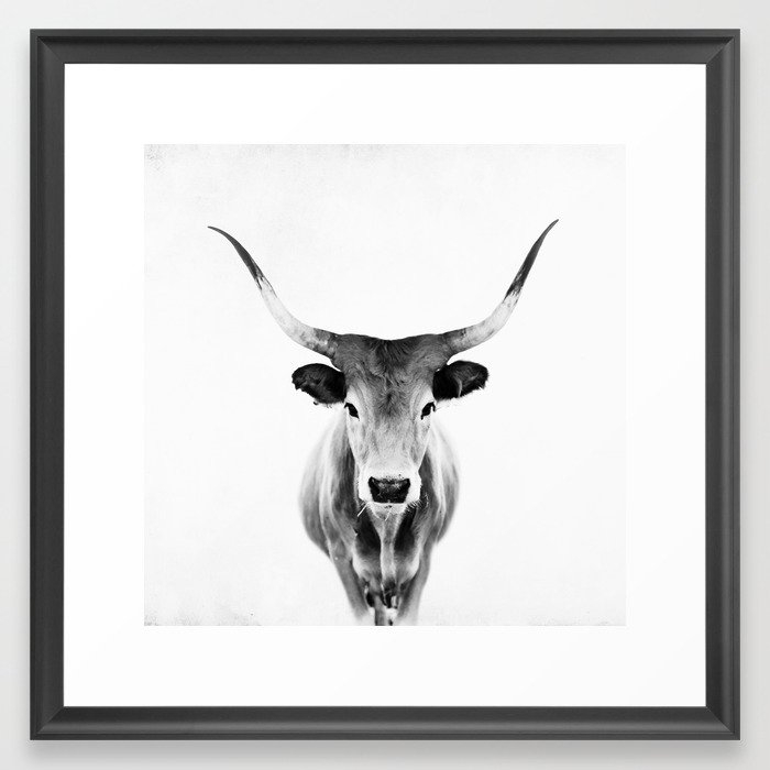 Wild Longhorn Cow Print - Black White Cow Portrait - Animal - Travel Photograpy Framed Art Print by Ingrid Beddoes Photography - Scoop Black - Medium(Gallery) 20" x 20"-22x22 - Image 0