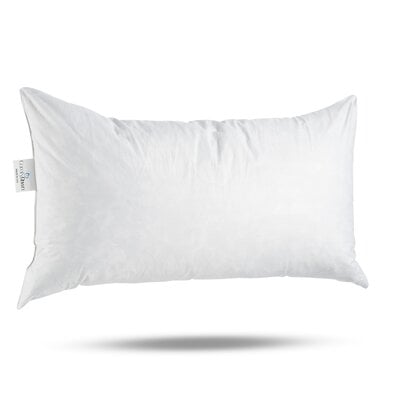Edinburgh Pillow Insert - Image 0