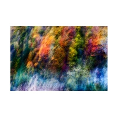 Wei He 'Colorful Forest' Canvas Art - Image 0