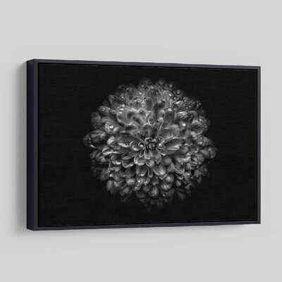 'Backyard Flowers In Black And White 46' - Photographic Print On Wrapped Canvas - Image 0