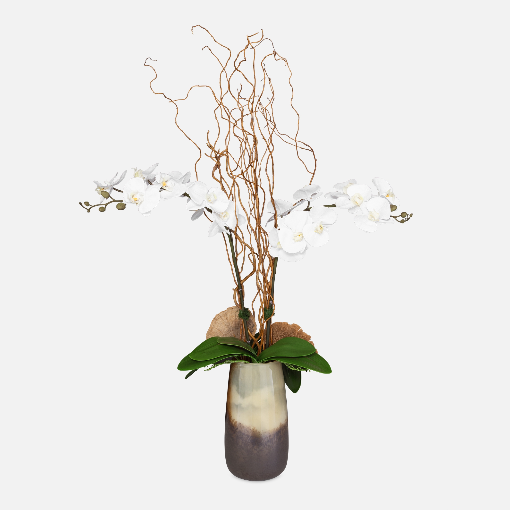 Earthbound Orchid With Vase - Image 0