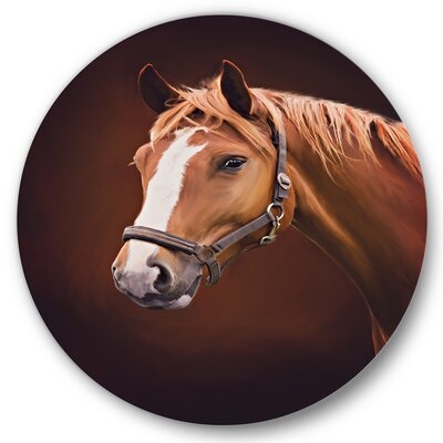 Portrait Of Brown Horse With White Nose II - Farmhouse Metal Circle Wall Art - Image 0