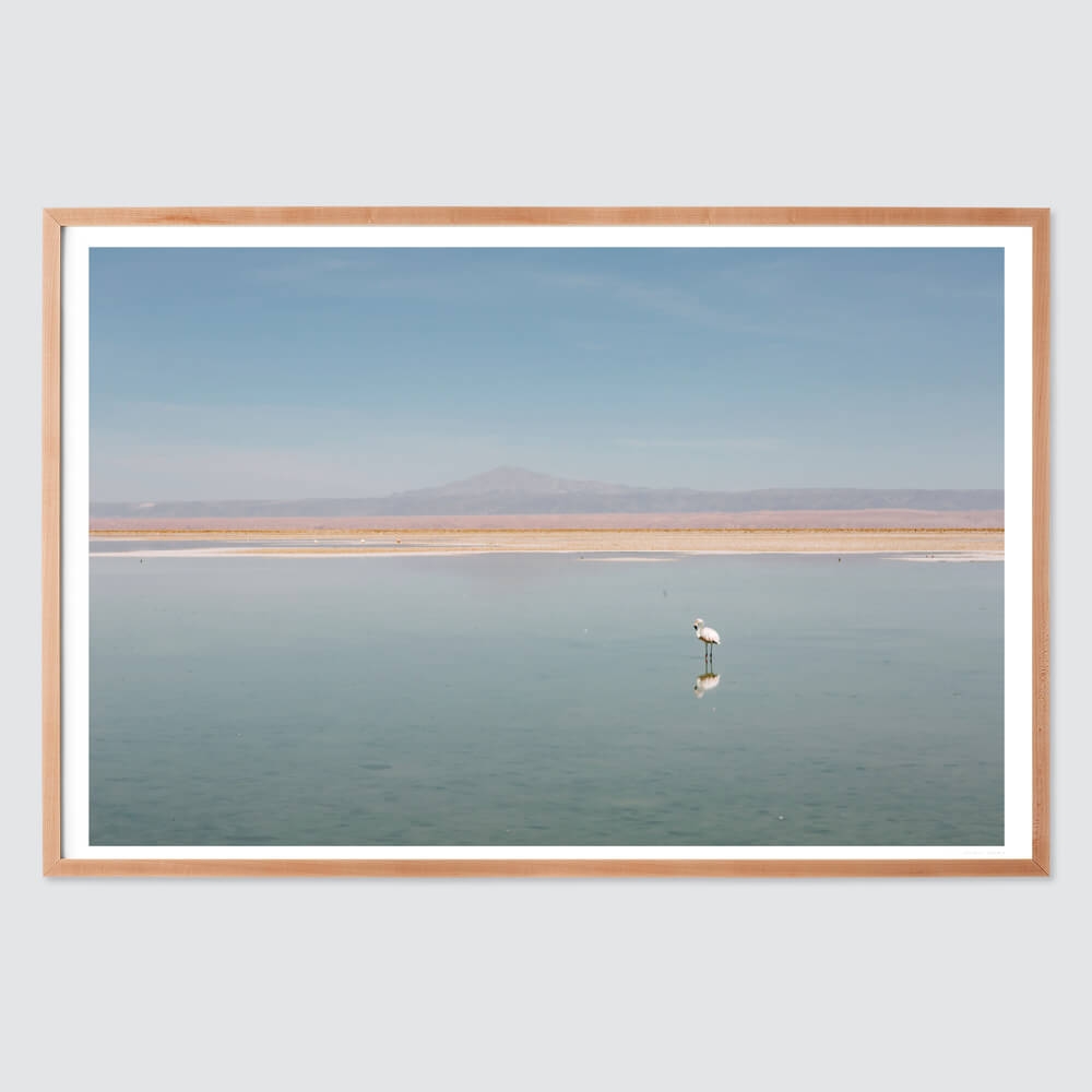 The Citizenry El Flamenco Wall Art Natural Frame | 30" x 45" - Image 1