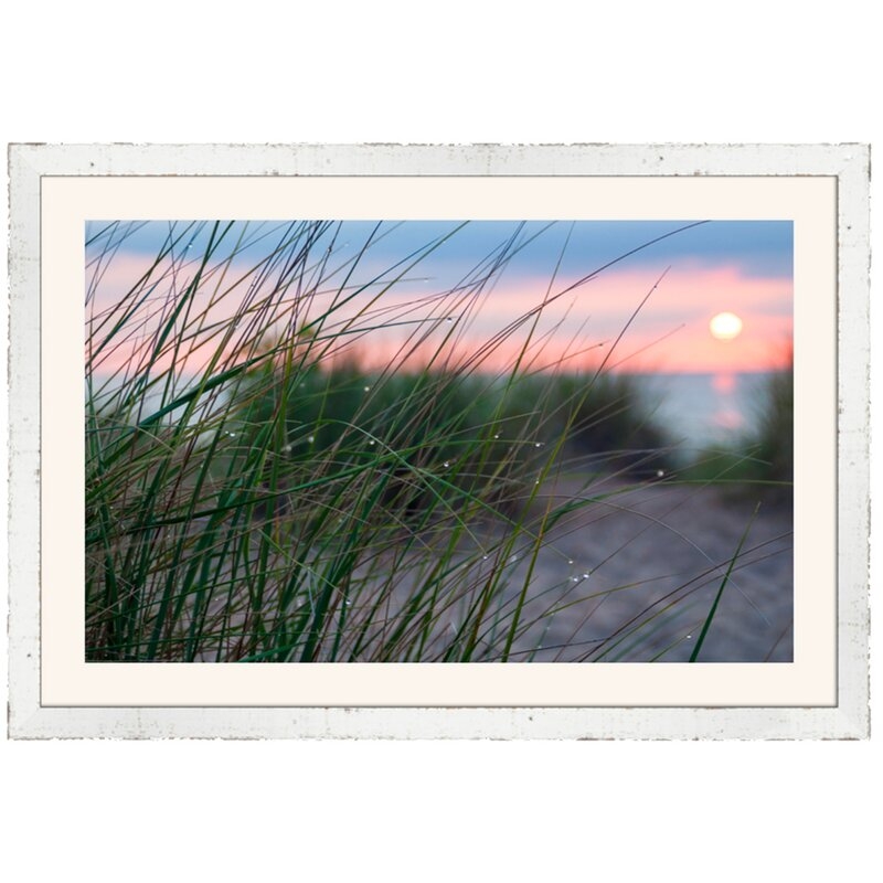 Platinum Art Group One-of-a-Kind Original Dune Grass with Dew by Ted Glasoe - Framed Photograph - Image 0